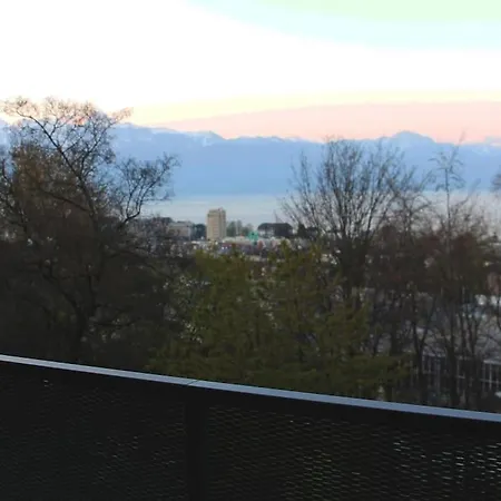 3,5 Pieces Avec Vue Et Pres Du Centre *
